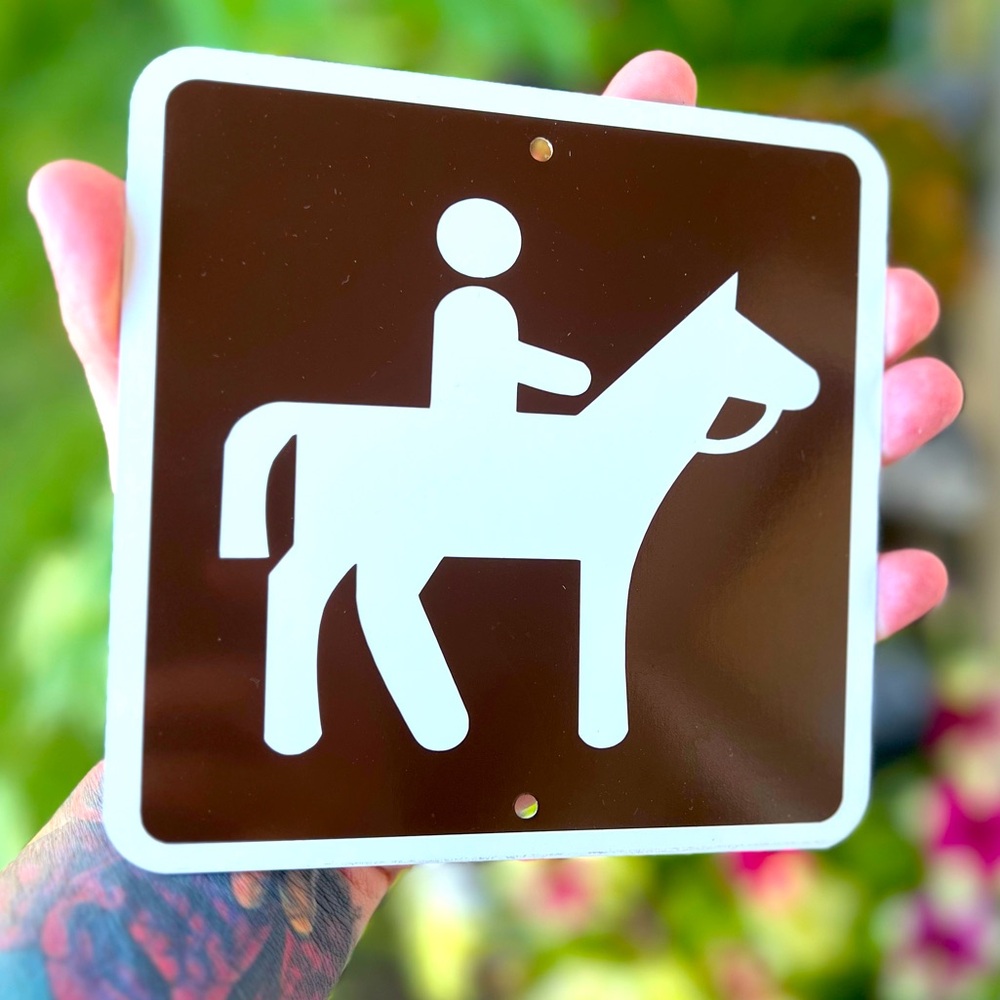 Horse Riding Equestrian Metal Sign 6”x6”